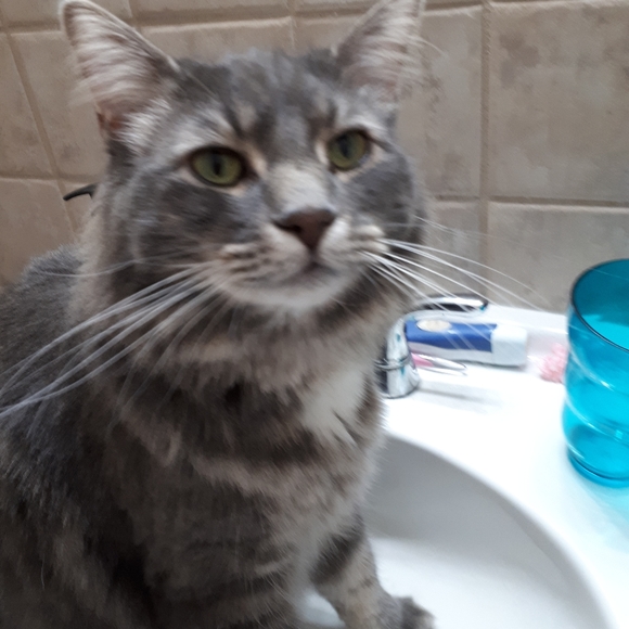 Meet your Posher, Stacey - Picture 1 of 1